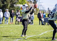 communty-football-Spartans-Warrioirs-Westshore-Goudy-SOUTHSIDE-DAWGS-HARWOOD