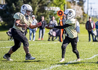 communty-football-Spartans-Warrioirs-Westshore-Goudy-SOUTHSIDE-DAWGS-HARWOOD
