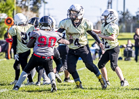 communty-football-Spartans-Warrioirs-Westshore-Goudy-SOUTHSIDE-DAWGS-HARWOOD