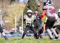 communty-football-Spartans-Warrioirs-Westshore-Goudy-SOUTHSIDE-DAWGS-HARWOOD