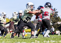 communty-football-Spartans-Warrioirs-Westshore-Goudy-SOUTHSIDE-DAWGS-HARWOOD