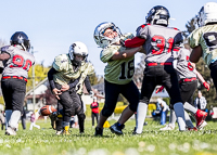 communty-football-Spartans-Warrioirs-Westshore-Goudy-SOUTHSIDE-DAWGS-HARWOOD