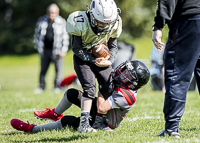 communty-football-Spartans-Warrioirs-Westshore-Goudy-SOUTHSIDE-DAWGS-HARWOOD