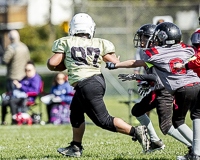 communty-football-Spartans-Warrioirs-Westshore-Goudy-SOUTHSIDE-DAWGS-HARWOOD