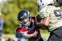 communty-football-Spartans-Warrioirs-Westshore-Goudy-SOUTHSIDE-DAWGS-HARWOOD