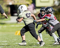 communty-football-Spartans-Warrioirs-Westshore-Goudy-SOUTHSIDE-DAWGS-HARWOOD