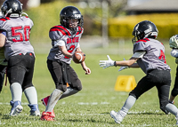 communty-football-Spartans-Warrioirs-Westshore-Goudy-SOUTHSIDE-DAWGS-HARWOOD