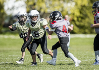 communty-football-Spartans-Warrioirs-Westshore-Goudy-SOUTHSIDE-DAWGS-HARWOOD