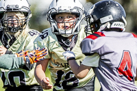 communty-football-Spartans-Warrioirs-Westshore-Goudy-SOUTHSIDE-DAWGS-HARWOOD