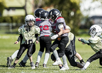 communty-football-Spartans-Warrioirs-Westshore-Goudy-SOUTHSIDE-DAWGS-HARWOOD
