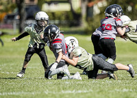 communty-football-Spartans-Warrioirs-Westshore-Goudy-SOUTHSIDE-DAWGS-HARWOOD