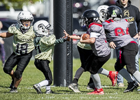 communty-football-Spartans-Warrioirs-Westshore-Goudy-SOUTHSIDE-DAWGS-HARWOOD