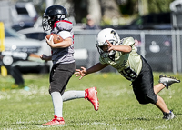 communty-football-Spartans-Warrioirs-Westshore-Goudy-SOUTHSIDE-DAWGS-HARWOOD