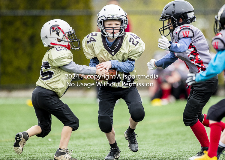 communty football Spartans Warrioirs Westshore Goudy
