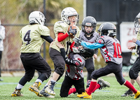 communty-football-Spartans-Warrioirs-Westshore-Goudy