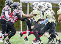 communty-football-Spartans-Warrioirs-Westshore-Goudy