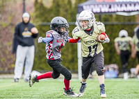 communty-football-Spartans-Warrioirs-Westshore-Goudy