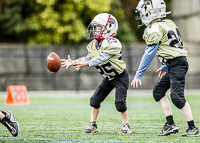 communty-football-Spartans-Warrioirs-Westshore-Goudy