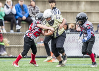 communty-football-Spartans-Warrioirs-Westshore-Goudy