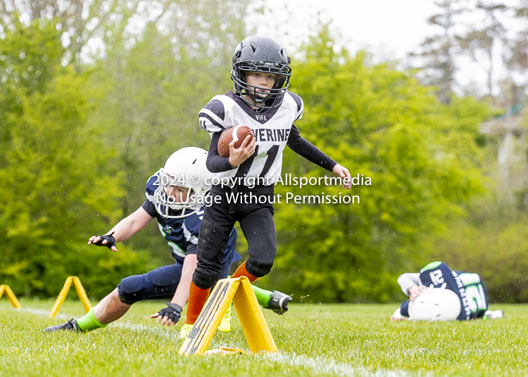 communty football Spartans Warrioirs Westshore Goudy SOUTHSIDE DAWGS  HARWOOD;communty football Spartans Warriors Westshore Goudy SOUTHSIDE DAWGS  HARWOOD cowichan bulldogs nanaimo footbAll isn