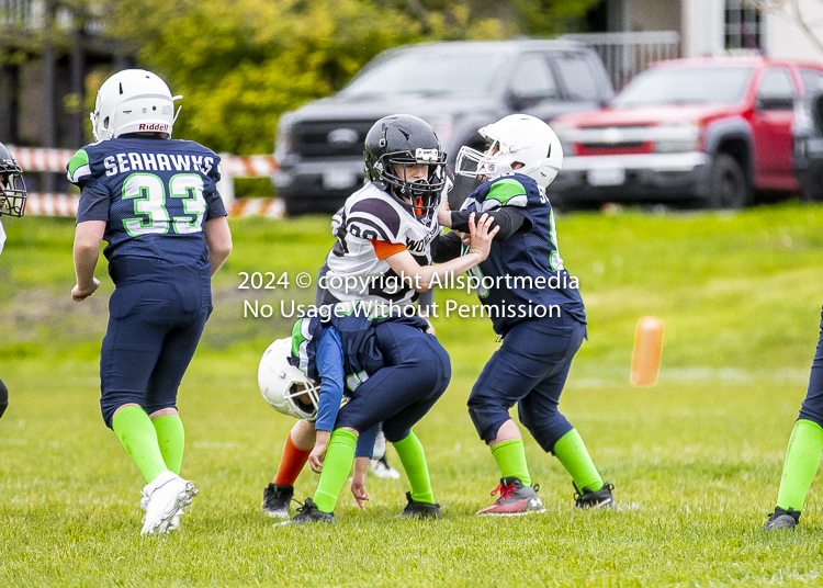 communty football Spartans Warrioirs Westshore Goudy SOUTHSIDE DAWGS  HARWOOD;communty football Spartans Warriors Westshore Goudy SOUTHSIDE DAWGS  HARWOOD cowichan bulldogs nanaimo footbAll isn