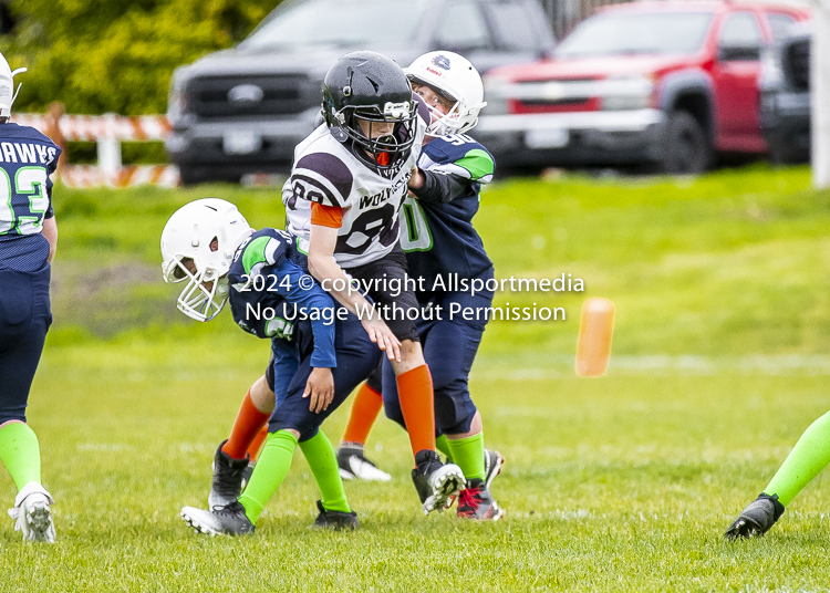 communty football Spartans Warrioirs Westshore Goudy SOUTHSIDE DAWGS  HARWOOD;communty football Spartans Warriors Westshore Goudy SOUTHSIDE DAWGS  HARWOOD cowichan bulldogs nanaimo footbAll isn