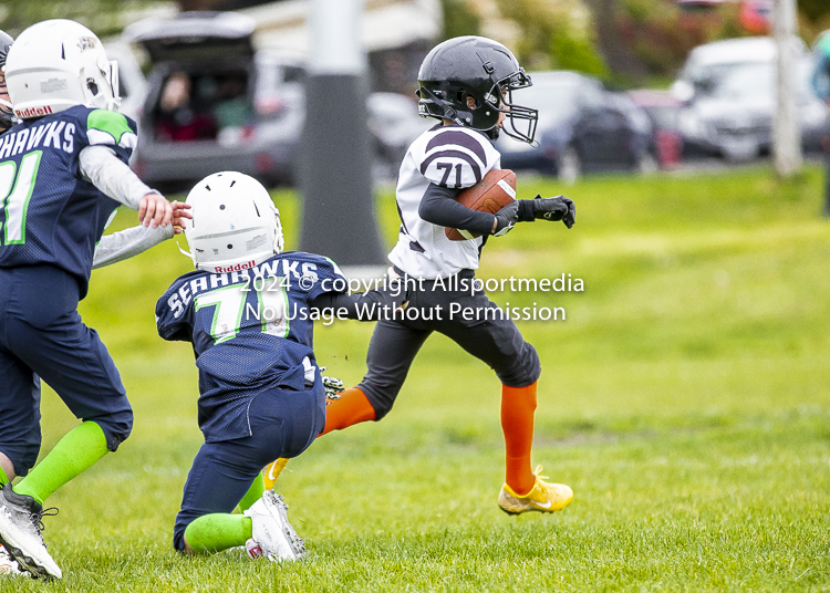 communty football Spartans Warrioirs Westshore Goudy SOUTHSIDE DAWGS  HARWOOD;communty football Spartans Warriors Westshore Goudy SOUTHSIDE DAWGS  HARWOOD cowichan bulldogs nanaimo footbAll isn