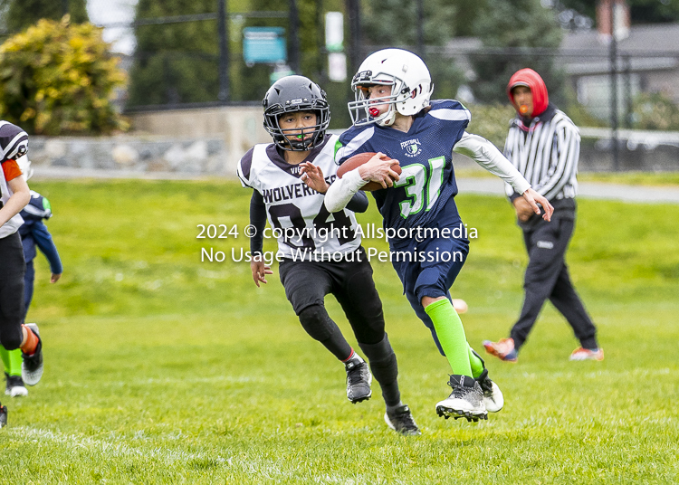 communty football Spartans Warrioirs Westshore Goudy SOUTHSIDE DAWGS  HARWOOD;communty football Spartans Warriors Westshore Goudy SOUTHSIDE DAWGS  HARWOOD cowichan bulldogs nanaimo footbAll isn