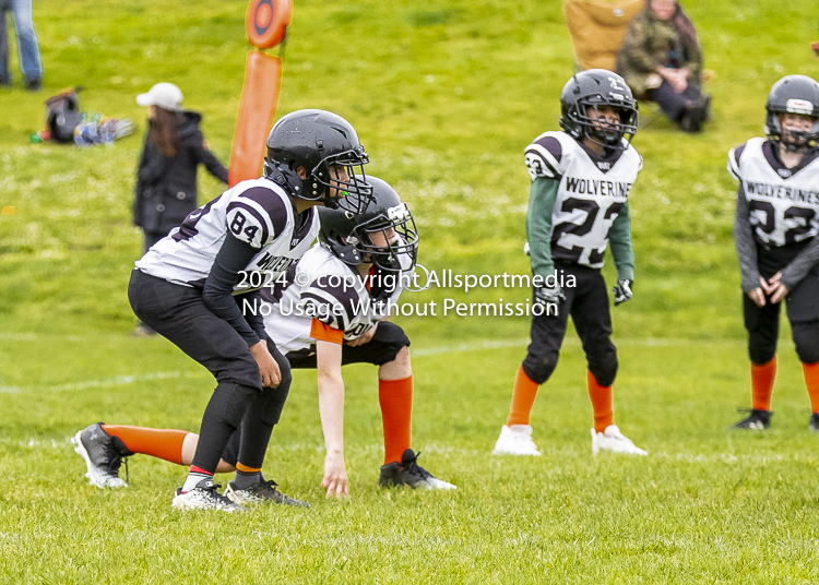 communty football Spartans Warrioirs Westshore Goudy SOUTHSIDE DAWGS  HARWOOD;communty football Spartans Warriors Westshore Goudy SOUTHSIDE DAWGS  HARWOOD cowichan bulldogs nanaimo footbAll isn