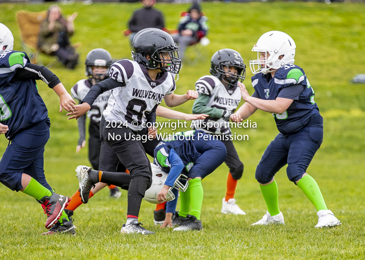 communty football Spartans Warrioirs Westshore Goudy SOUTHSIDE DAWGS  HARWOOD;communty football Spartans Warriors Westshore Goudy SOUTHSIDE DAWGS  HARWOOD cowichan bulldogs nanaimo footbAll isn