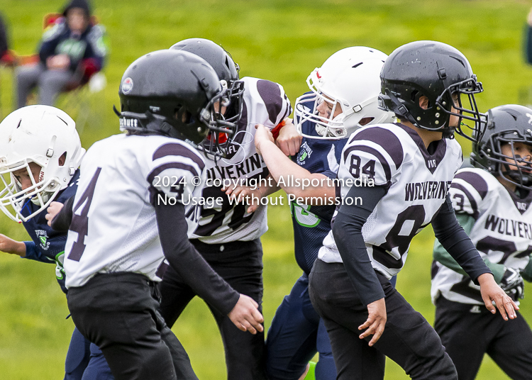 communty football Spartans Warrioirs Westshore Goudy SOUTHSIDE DAWGS  HARWOOD;communty football Spartans Warriors Westshore Goudy SOUTHSIDE DAWGS  HARWOOD cowichan bulldogs nanaimo footbAll isn