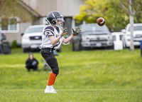 communty-football-Spartans-Warrioirs-Westshore-Goudy-SOUTHSIDE-DAWGS-HARWOOD;communty-football-Spartans-Warriors-Westshore-Goudy-SOUTHSIDE-DAWGS-HARWOOD-cowichan-bulldogs-nanaimo-footbAll-isn