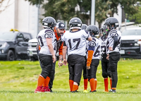 communty-football-Spartans-Warrioirs-Westshore-Goudy-SOUTHSIDE-DAWGS-HARWOOD;communty-football-Spartans-Warriors-Westshore-Goudy-SOUTHSIDE-DAWGS-HARWOOD-cowichan-bulldogs-nanaimo-footbAll-isn