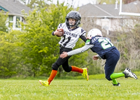 communty-football-Spartans-Warrioirs-Westshore-Goudy-SOUTHSIDE-DAWGS-HARWOOD;communty-football-Spartans-Warriors-Westshore-Goudy-SOUTHSIDE-DAWGS-HARWOOD-cowichan-bulldogs-nanaimo-footbAll-isn