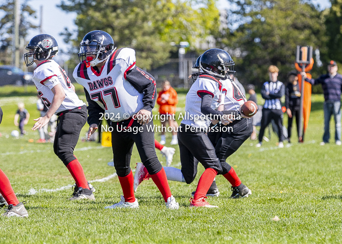 communty football Spartans Warrioirs Westshore Goudy;communty football Spartans Warrioirs Westshore Goudy SOUTHSIDE DAWGS  HARWOOD