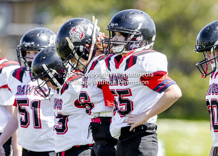 communty football Spartans Warrioirs Westshore Goudy;communty football Spartans Warrioirs Westshore Goudy SOUTHSIDE DAWGS  HARWOOD