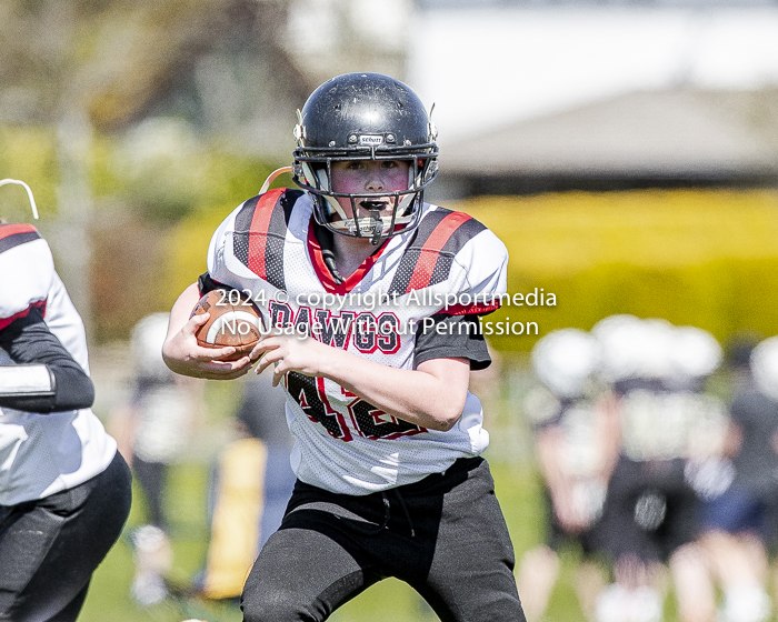 communty football Spartans Warrioirs Westshore Goudy;communty football Spartans Warrioirs Westshore Goudy SOUTHSIDE DAWGS  HARWOOD