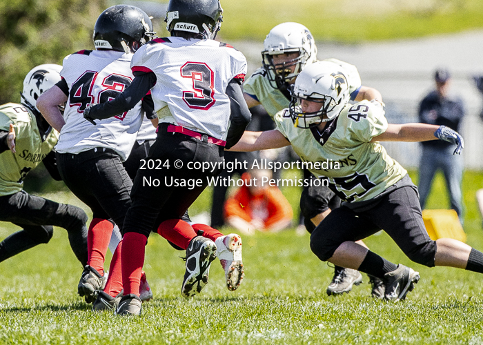 communty football Spartans Warrioirs Westshore Goudy;communty football Spartans Warrioirs Westshore Goudy SOUTHSIDE DAWGS  HARWOOD