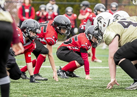 communty-football-Spartans-Warrioirs-Westshore-Goudy