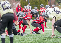 communty-football-Spartans-Warrioirs-Westshore-Goudy