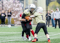 communty-football-Spartans-Warrioirs-Westshore-Goudy