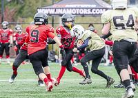 communty-football-Spartans-Warrioirs-Westshore-Goudy