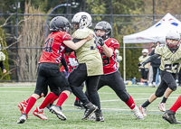 communty-football-Spartans-Warrioirs-Westshore-Goudy