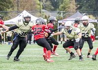 communty-football-Spartans-Warrioirs-Westshore-Goudy