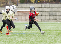 communty-football-Spartans-Warrioirs-Westshore-Goudy