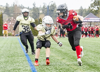 communty-football-Spartans-Warrioirs-Westshore-Goudy