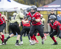 communty-football-Spartans-Warrioirs-Westshore-Goudy