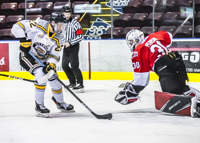 Allsportmediaca-Independent-Sports-News-Island-Sports-News-Victoria-Canon-Victoria-Grizzlies-Naniamo-Clippers-BCHL-Hockey-Vancouver-Island;independent-sports-news