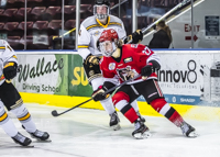 Allsportmediaca-Independent-Sports-News-Island-Sports-News-Victoria-Canon-Victoria-Grizzlies-Naniamo-Clippers-BCHL-Hockey-Vancouver-Island;independent-sports-news