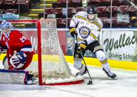 Allsportmediaca-Independent-Sports-News-Island-Sports-News-Victoria-Canon-Football-Hockey-Rugby-Canada-WHL-Royals-Rebelsl-BCFC-CJFL-VI-Raiders-Vancouver-Island-Canada-Soccer-NHL-NFL-BCHL-Highschool-Basketball-Volleyball;independent-sports-news